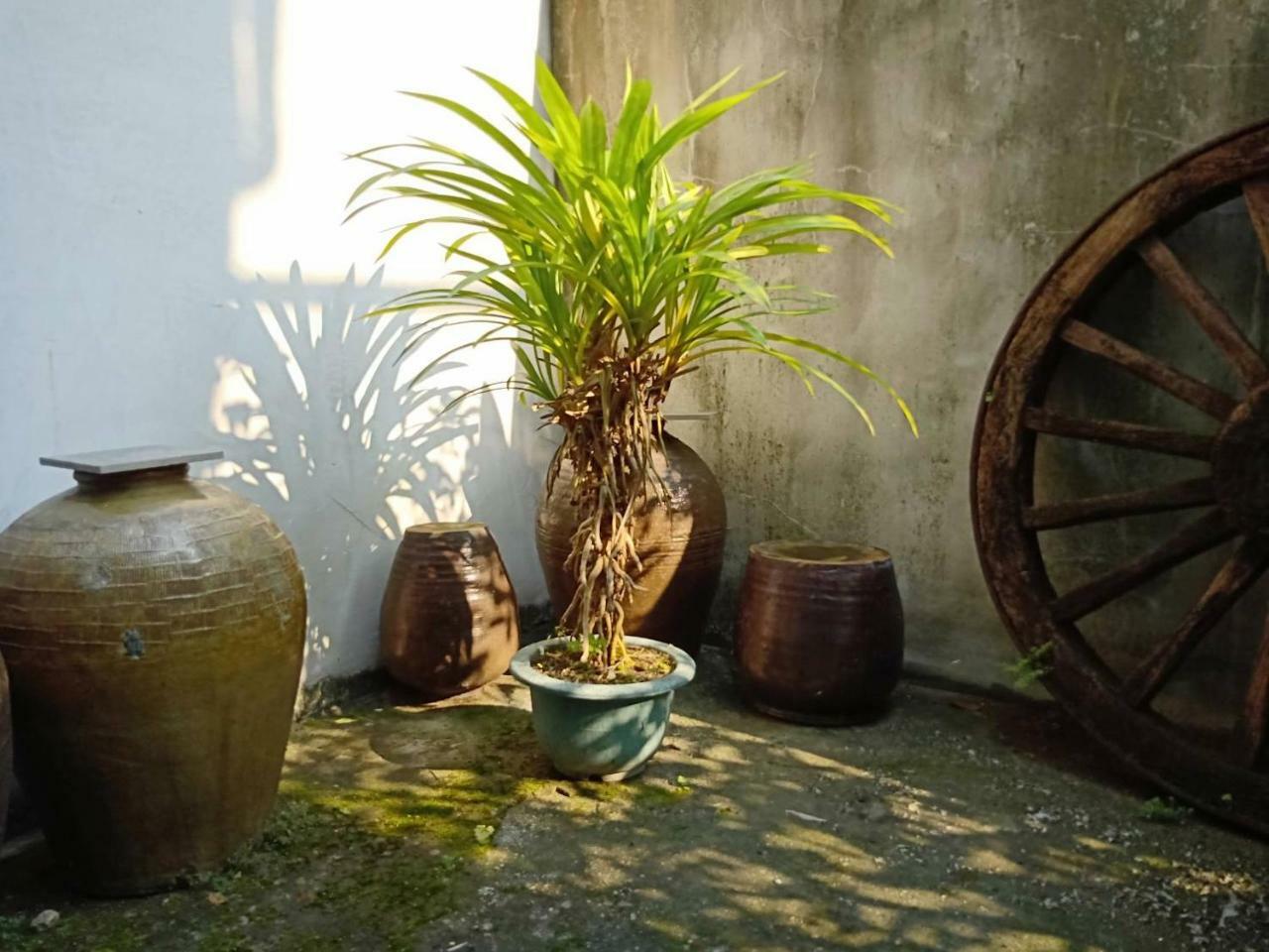 Formosa Backpackers Hostel & Apartment（青年民宿） Hualien Kültér fotó